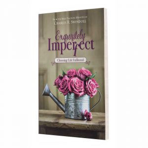 EXQUISITELY IMPERFECT, paperback book