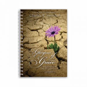 GLIMPSES OF GRACE, paperback book