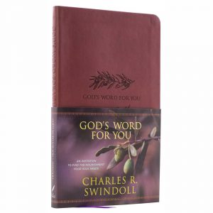 GOD'S WORD FOR YOU: An Invitation to Find the Nourishment Your Soul Needs