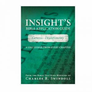INSIGHT'S BIBLE APPLICATION GUIDE: Genesis - Deuteronomy, paperback book