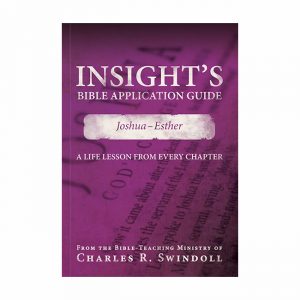 INSIGHT'S BIBLE APPLICATION GUIDE: Joshua-Esther, paperback book