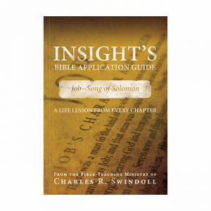 INSIGHT'S BIBLE APPLICATION GUIDE: Job - Song of Solomon