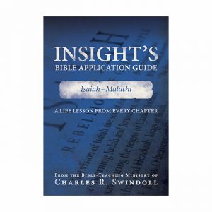 INSIGHT'S BIBLE APPLICATION GUIDE: Isaiah - Malachi, paperback book