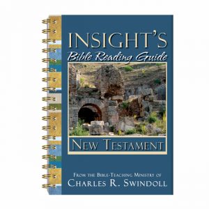 INSIGHT'S BIBLE READING GUIDE: New Testament