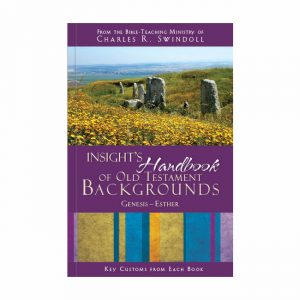 INSIGHT'S HANDBOOK OF OLD TESTAMENT BACKGROUND: Key Customs from Each Book, Genesis-Esther