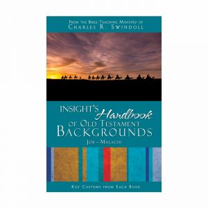 INSIGHT'S HANDBOOK OF OLD TESTAMENT BACKGROUND: Key Customs from Each Book, Job-Malachi