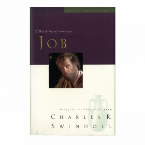 JOB: A Man of Heroic Endurance, paperback book