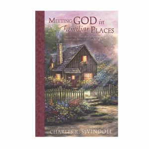 MEETING GOD IN FAMILIAR PLACES, Bible Companion