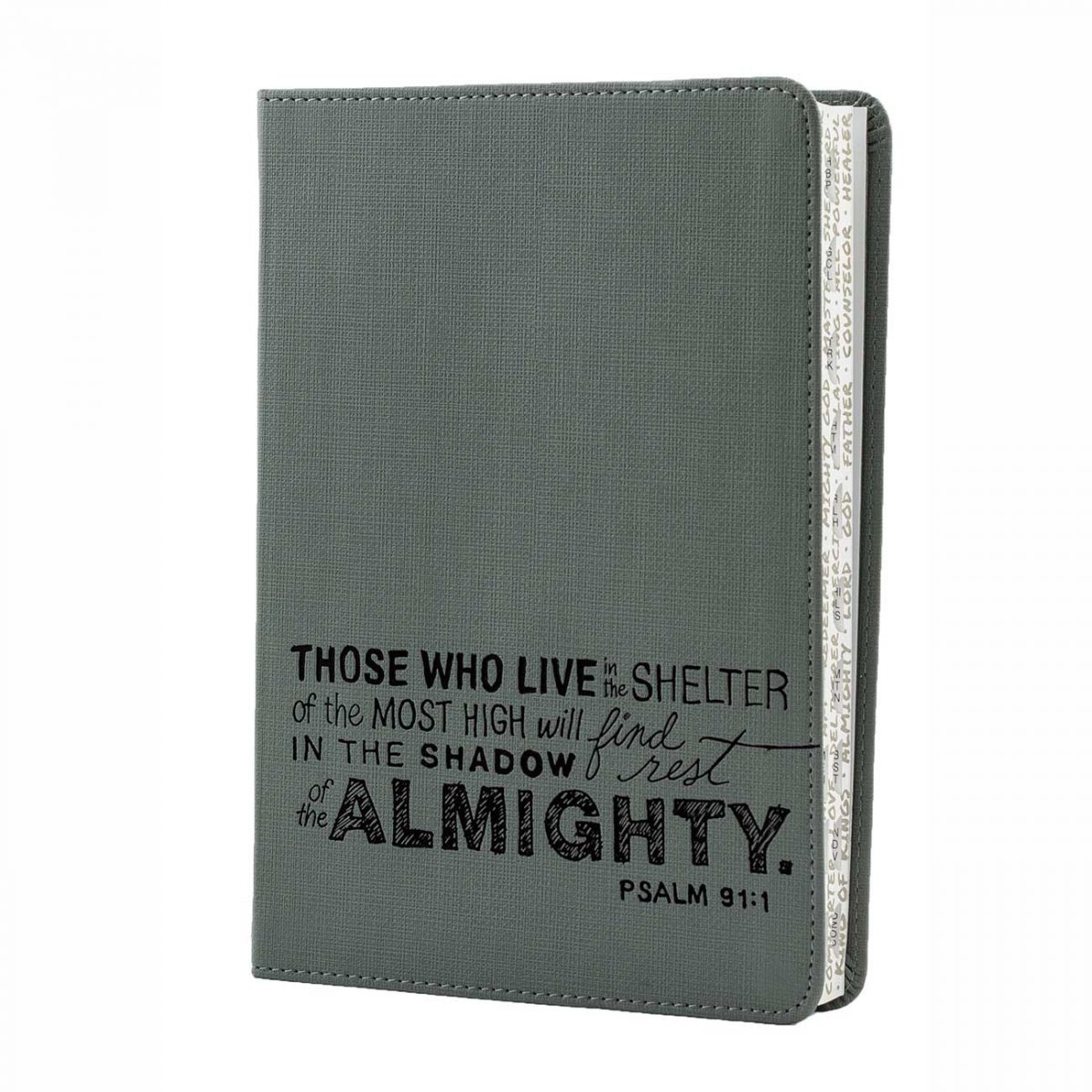 Teen Slimline Bible, NLT version