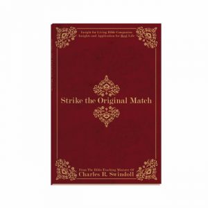 STRIKE THE ORIGINAL MATCH, Bible Companion