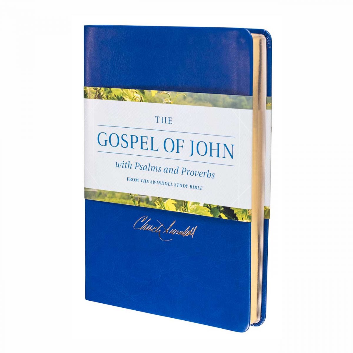 THE GOSPEL OF JOHN WITH PSALMS AND PROVERBS, LeatherLike