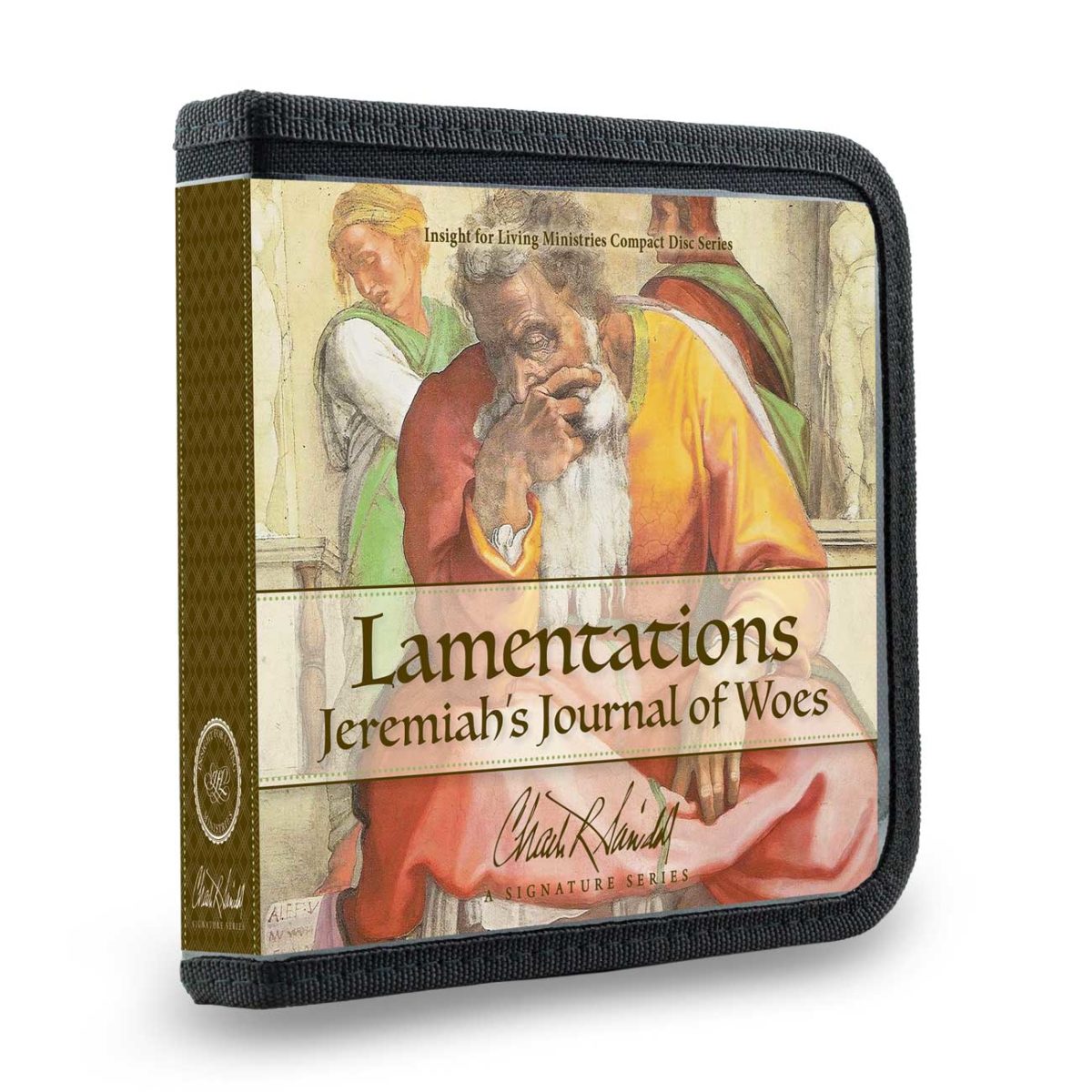 Lamentations: Jeremiah's Journal of Woe series