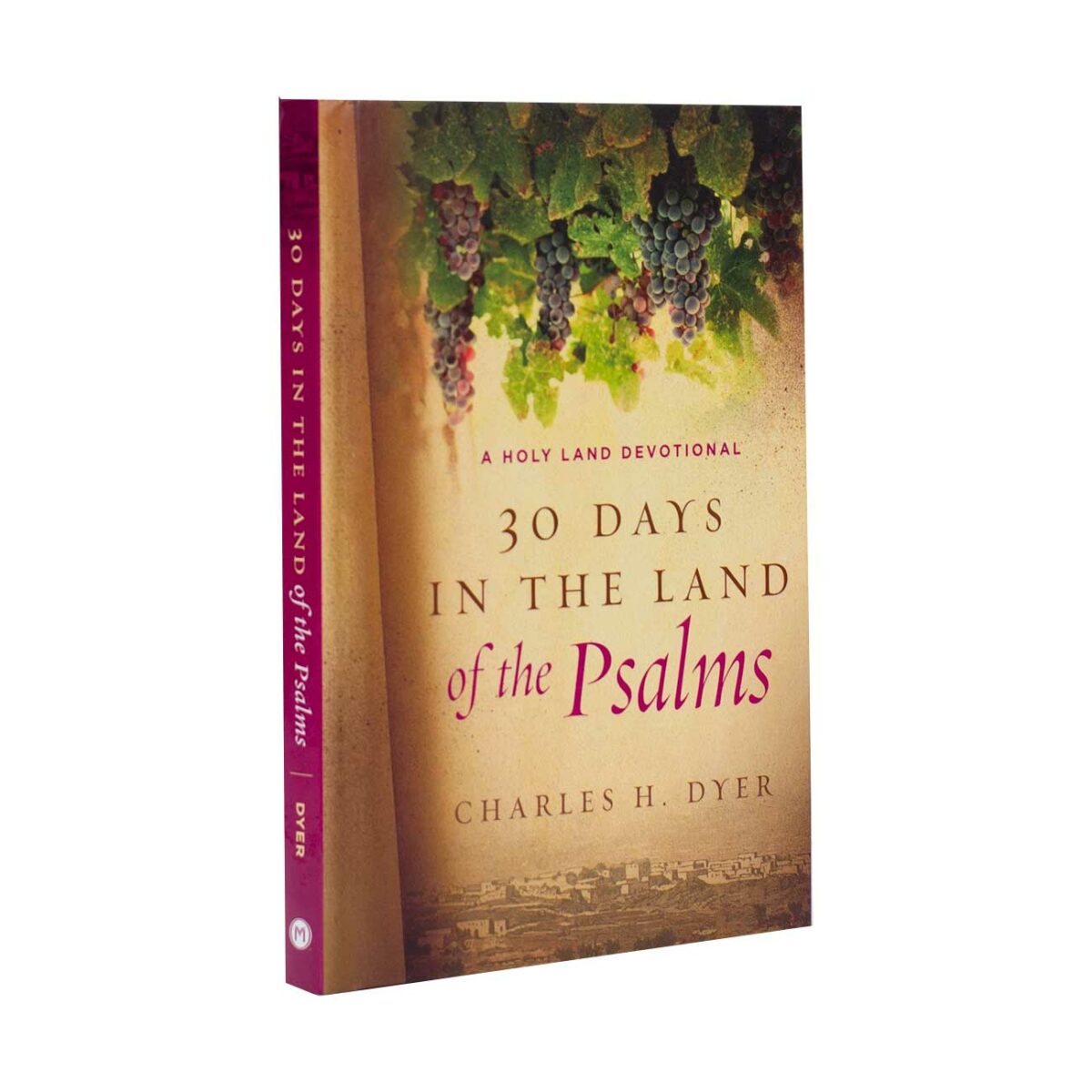 30 Days in the Land of the Psalms