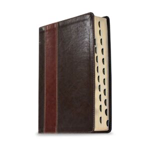 The Swindoll Study Bible NLT LeatherLike, Brown/Tan TuTone, Indexed