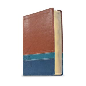 The Swindoll Study Bible NLT LeatherLike, Brown/Teal TuTone