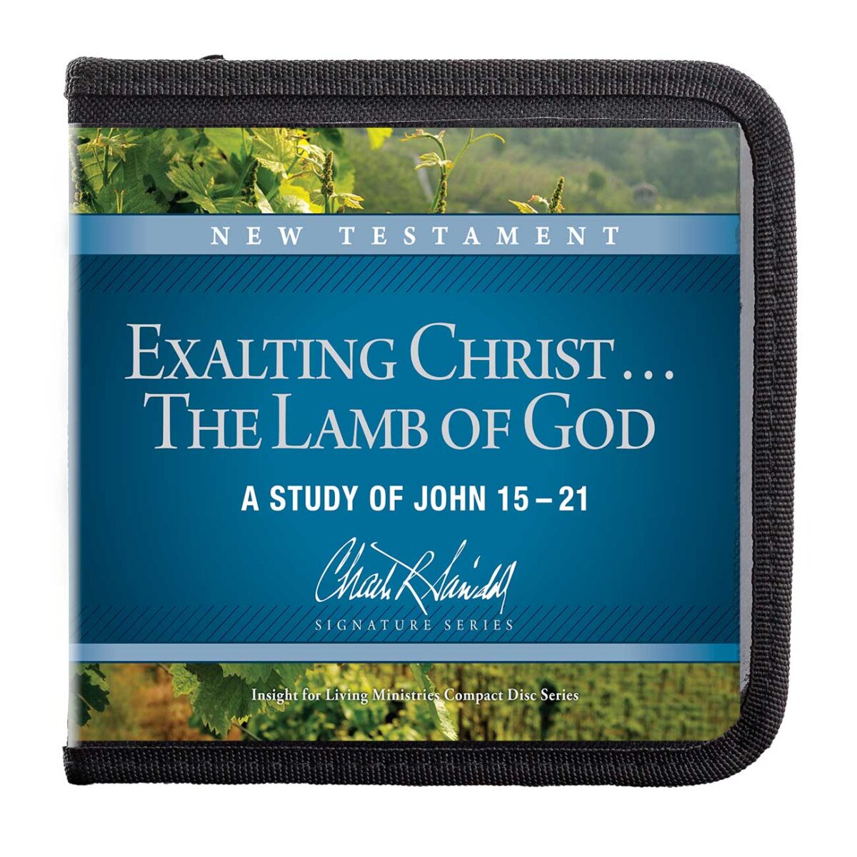 Exalting Christ . . . The Lamb of God: A Study of John 15–21