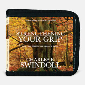 Strengthening Your Grip: How to Be Grounded in a Chaotic World