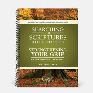 Strengthening Your Grip STS Bible Study Workbook