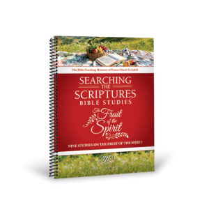 The Fruit of the Spirit STS Bible Study Workbook