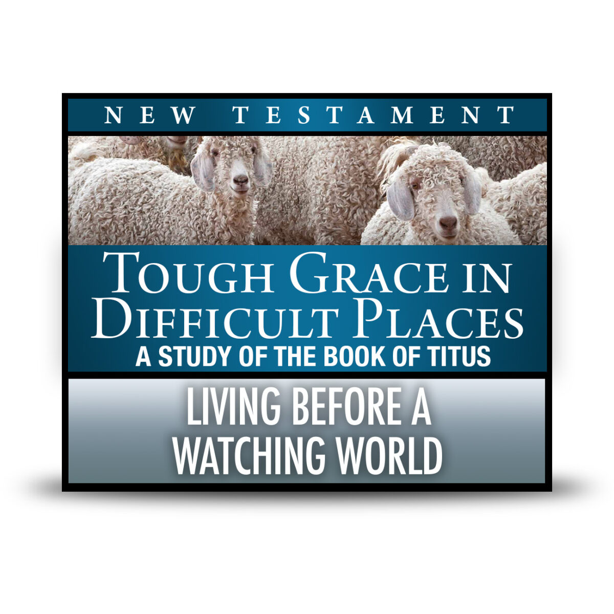 Living before a Watching World