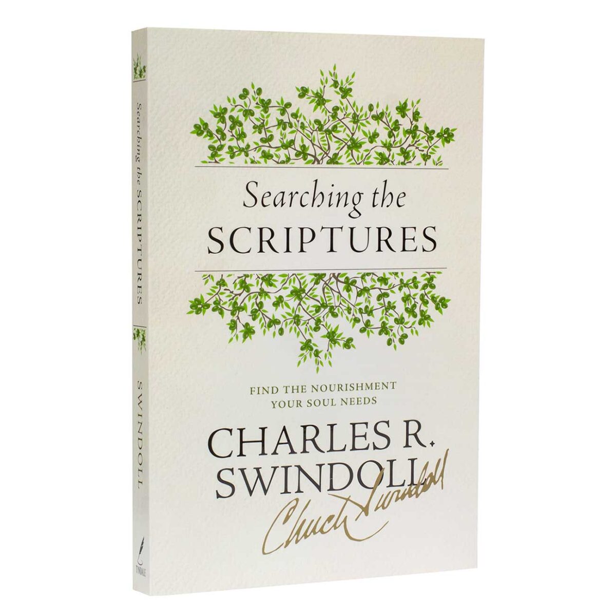 Searching the Scriptures: Find the Nourishment Your Soul Needs