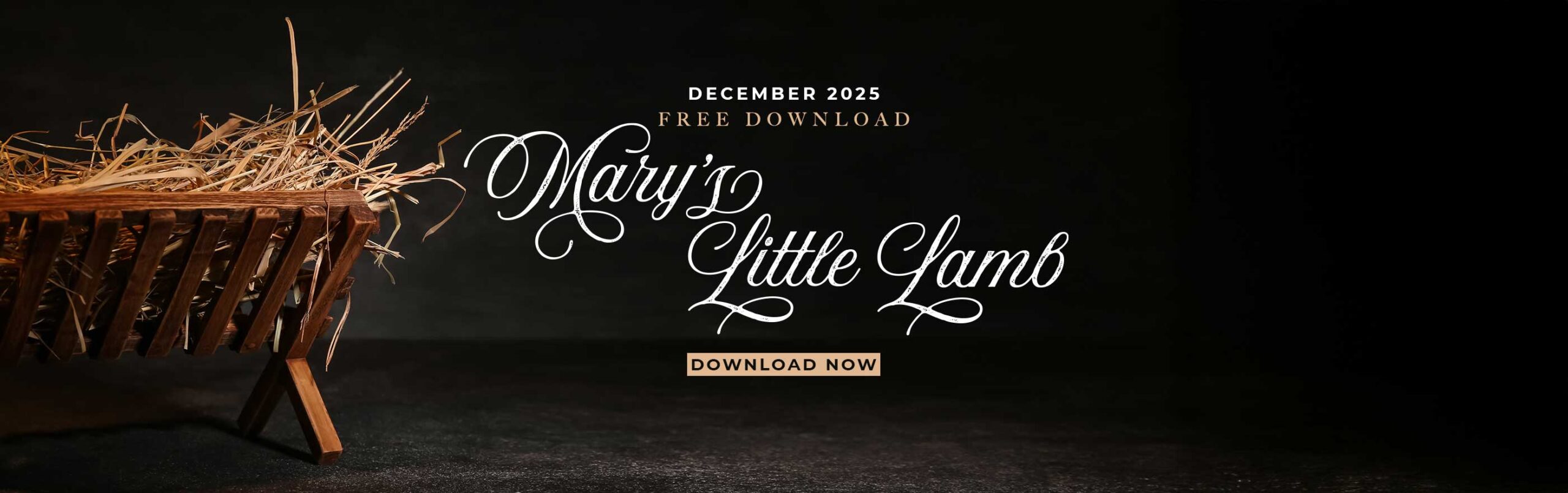 2025-12-Homepage-slider-FreeMP3