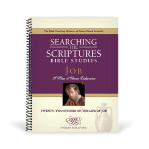 Job: A Man of Heroic Endurance, STS Workbook